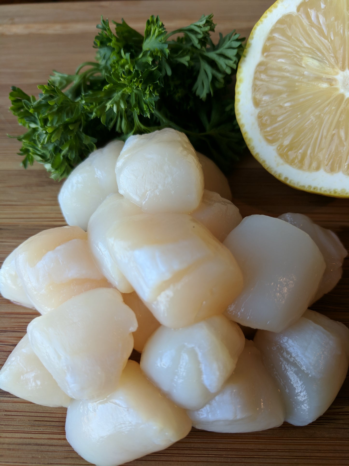 BAY SCALLOPS