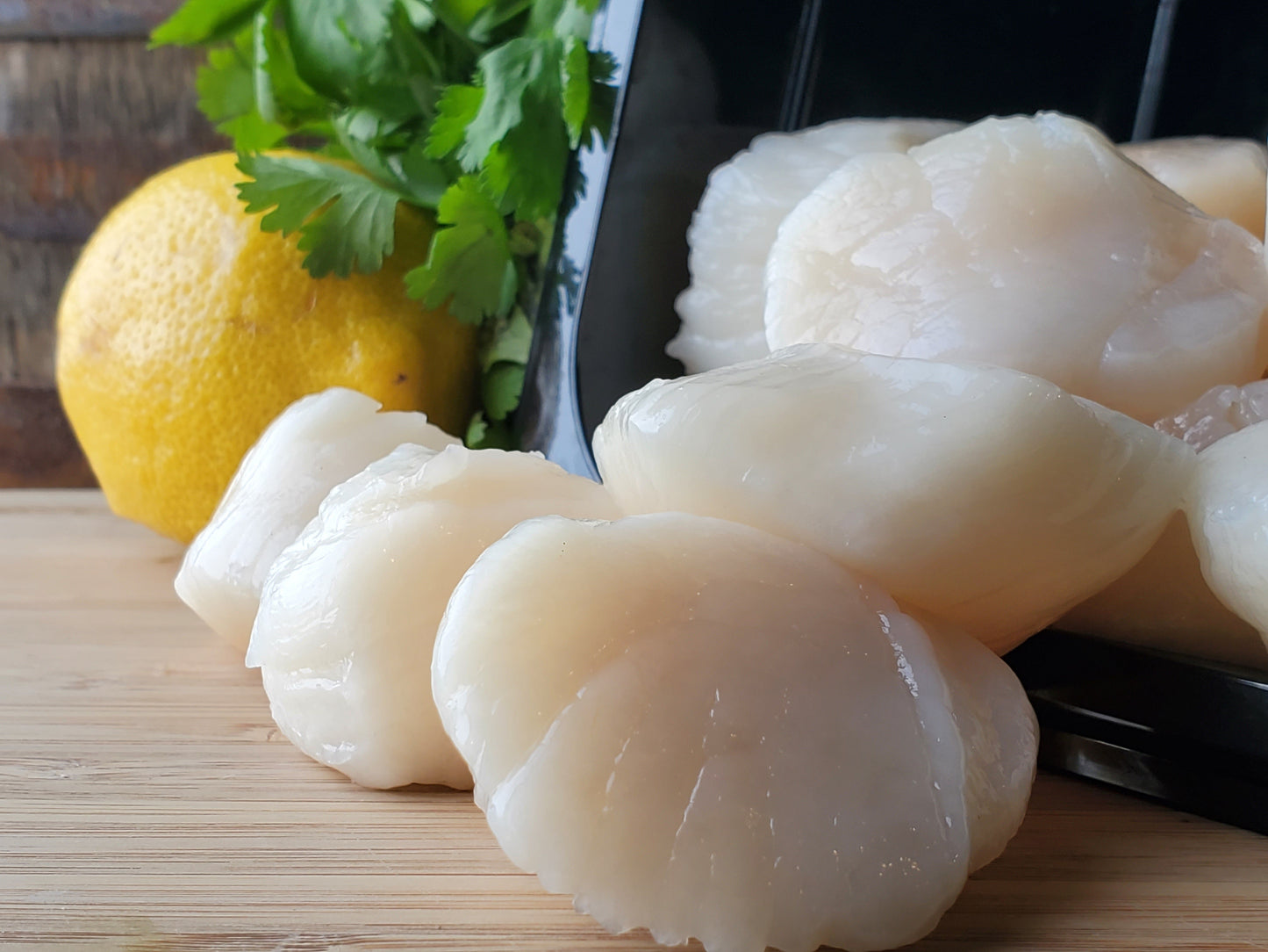 SEA SCALLOPS FRESH