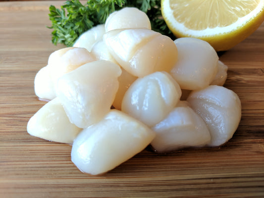 BAY SCALLOPS